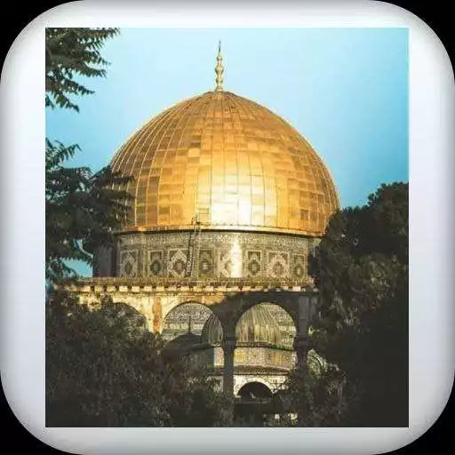 Play palestine wallpaper 2021 APK