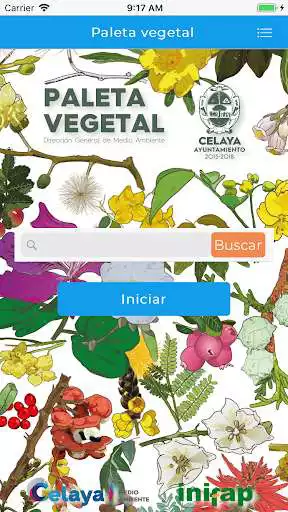 Play Paleta Vegetal