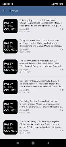 Play Paley International Council as an online game Paley International Council with UptoPlay