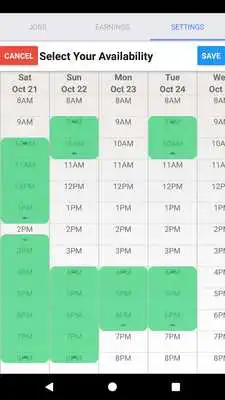 Play Pallim Mechanic