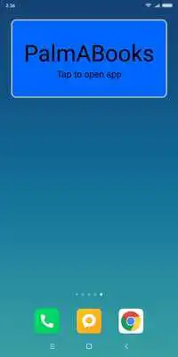 Play PalmABooks 2