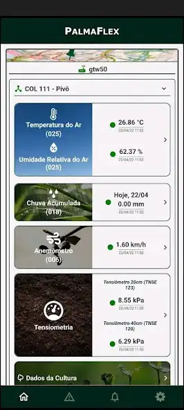 Play PalmaFlex as an online game PalmaFlex with UptoPlay