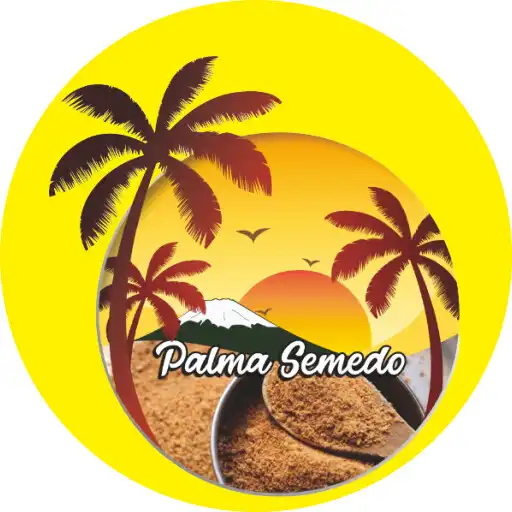Play Palma Semedo APK