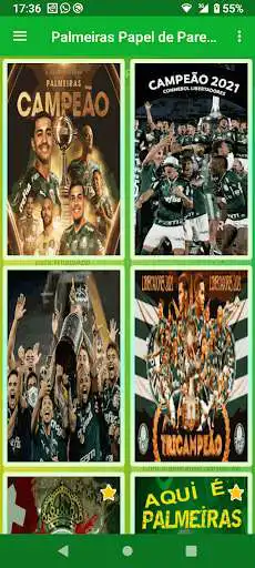 Play Palmeiras Papel de Parede as an online game Palmeiras Papel de Parede with UptoPlay