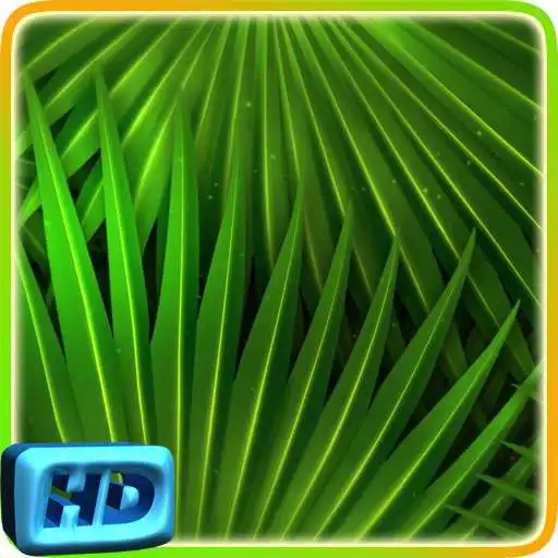 Play Palm Leaves HD Live Wallpaper APK
