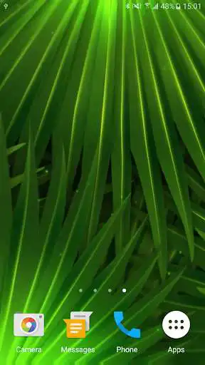 Play Palm Leaves HD Live Wallpaper as an online game Palm Leaves HD Live Wallpaper with UptoPlay