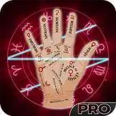 Free play online Palm Reader Pro APK