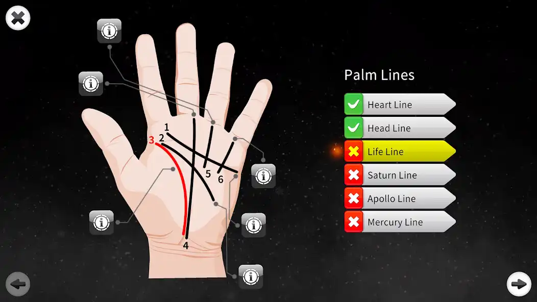 Play Palm Reading Premium 4K  and enjoy Palm Reading Premium 4K with UptoPlay