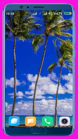 Play Palm Tree HD  Wallpaper  and enjoy Palm Tree HD  Wallpaper with UptoPlay