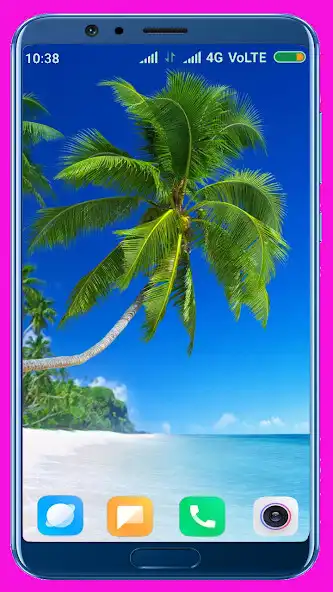 Play Palm Tree HD  Wallpaper as an online game Palm Tree HD  Wallpaper with UptoPlay
