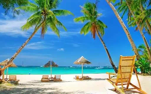 Play palm Tree wallpaper
