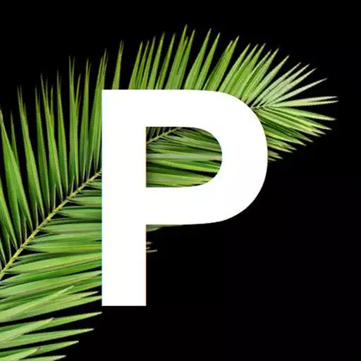 Play Palmwood Church App APK