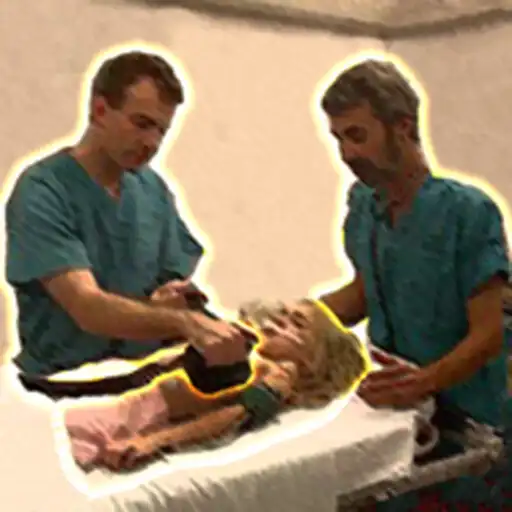 Run free android online PALS Sim 2016 APK