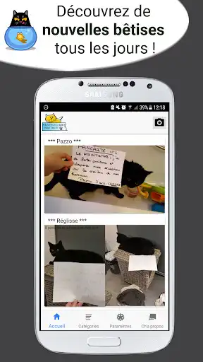Play Pancartes pour ton chat  and enjoy Pancartes pour ton chat with UptoPlay