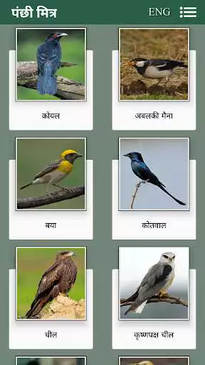 Play APK Panchhi Mitra  and enjoy Panchhi Mitra with UptoPlay in.applegends.birdsounds