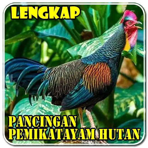 Play Pancingan Ayam Hutan Lengkap APK