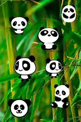 Play Panda Baby Game Rattle Toy