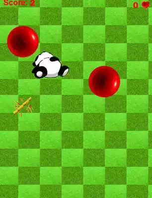 Play Panda Balls Free