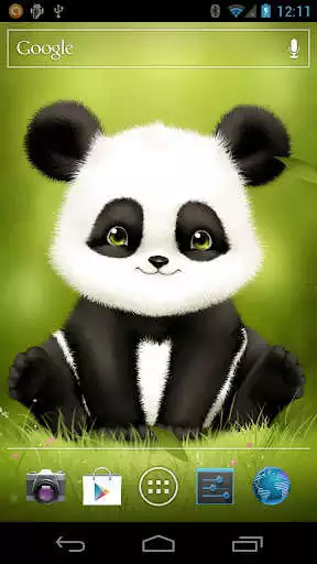Play Panda Bobble Head Wallpaper Play Panda Bobble Head Wallpaper