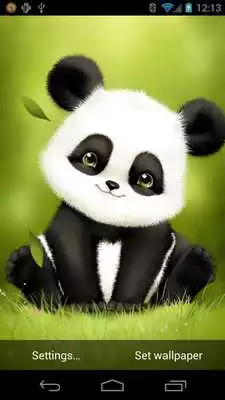 Play Panda Bobble Head Wallpaper Play Panda Bobble Head Wallpaper