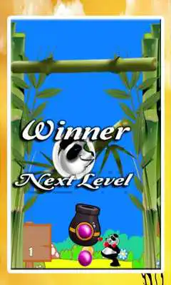 Play Panda Bubble Pop 2