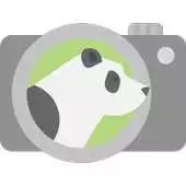 Free play online PandaCam APK Free play online PandaCam APK