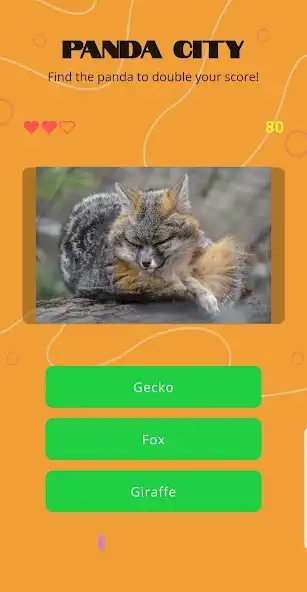 Play Panda City - Animal Quiz Game  and enjoy Panda City - Animal Quiz Game with UptoPlay