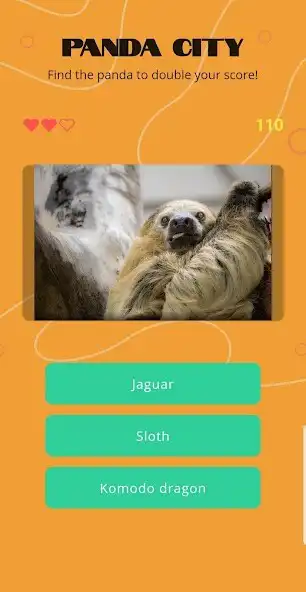 Play Panda City - Animal Quiz Game as an online game Panda City - Animal Quiz Game with UptoPlay