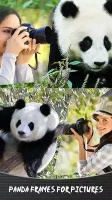 Play Panda Frames For Pictures