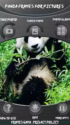 Play Panda Frames For Pictures
