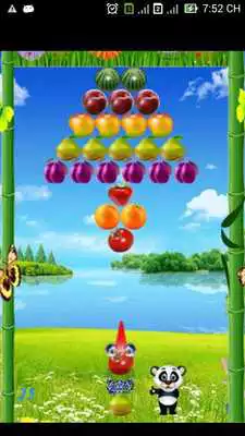 Play Panda Fruits Bubble