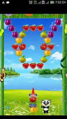 Play Panda Fruits Bubble