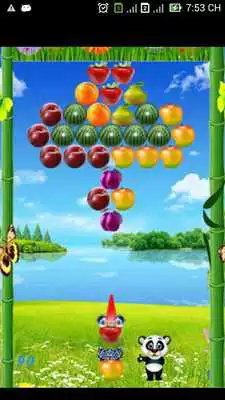 Play Panda Fruits Bubble