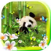 Free play online Panda Funny live wallpaper APK