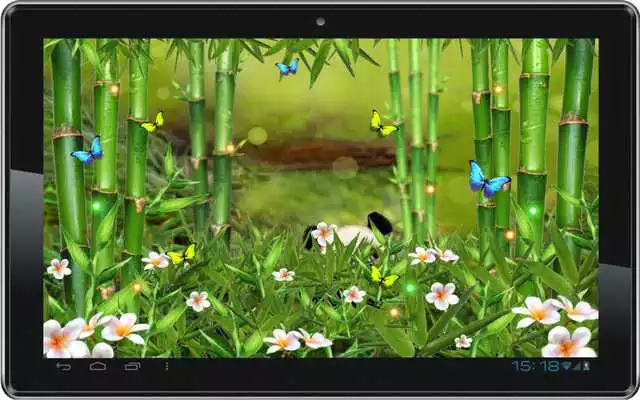 Play Panda Funny live wallpaper Play Panda Funny live wallpaper