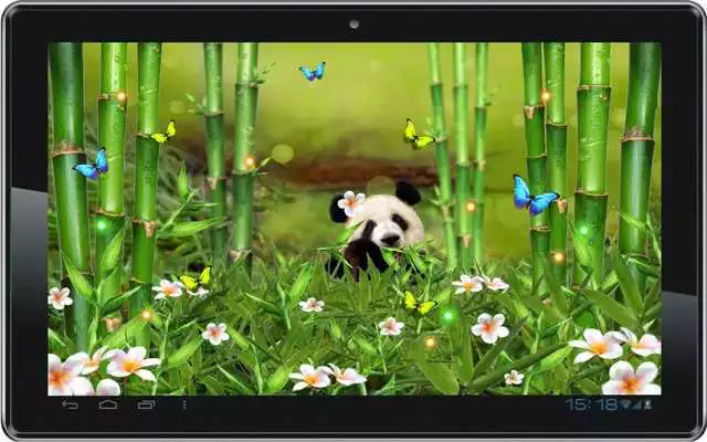 Play Panda Funny live wallpaper Play Panda Funny live wallpaper