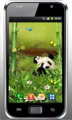 Play Panda Funny live wallpaper Play Panda Funny live wallpaper