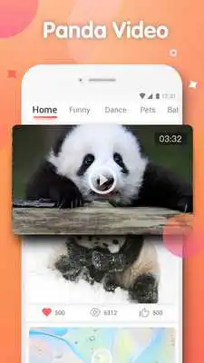Play Panda Funny Videos - watch panda with one tap