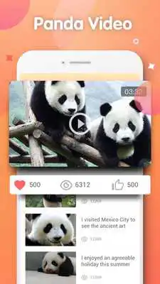 Play Panda Funny Videos - watch panda with one tap