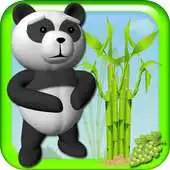 Free play online Panda Hunger APK Free play online Panda Hunger APK