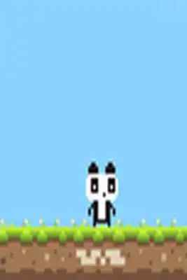 Play Panda Love