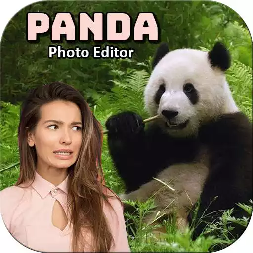 Play Panda Photo Frame APK