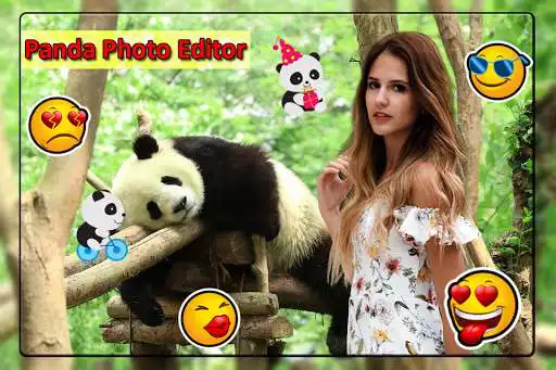 Play Panda Photo Frame  and enjoy Panda Photo Frame with UptoPlay