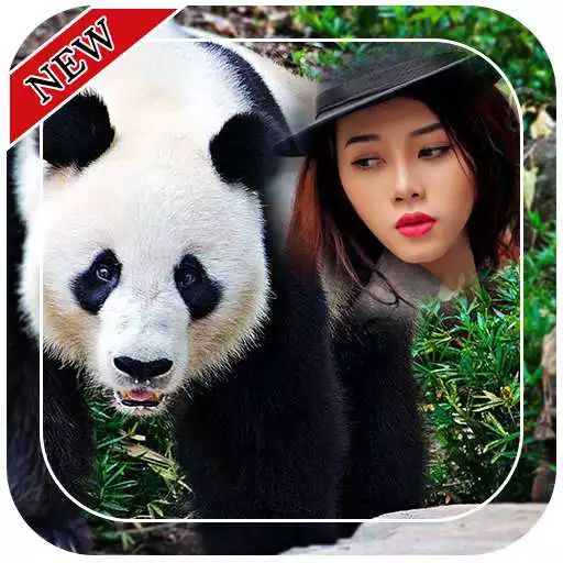 Free play online Panda Photo Frames APK