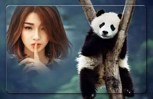 Play Panda Photo Frames