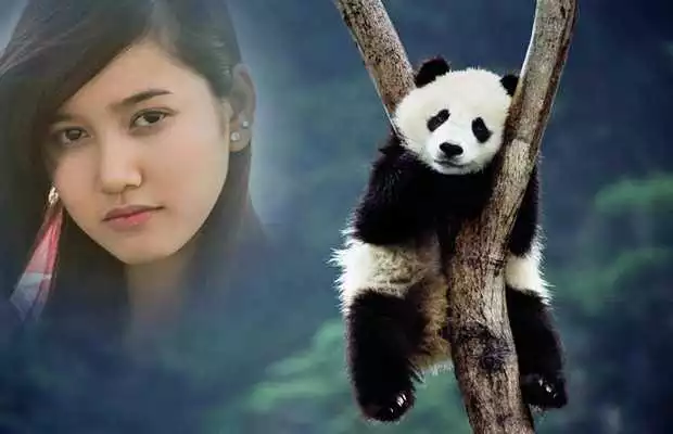 Play Panda Photo Frames