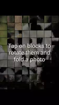 Play Panda Puzzle
