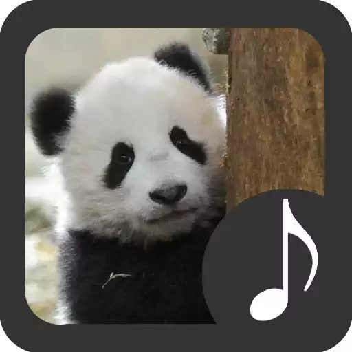 Play Panda Sounds APK