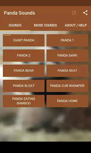 Play Panda Sounds  and enjoy Panda Sounds with UptoPlay