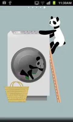 Play Panda washing Live Wallpaper